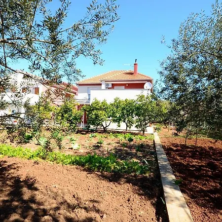 Ljubica * Biograd Na Moru